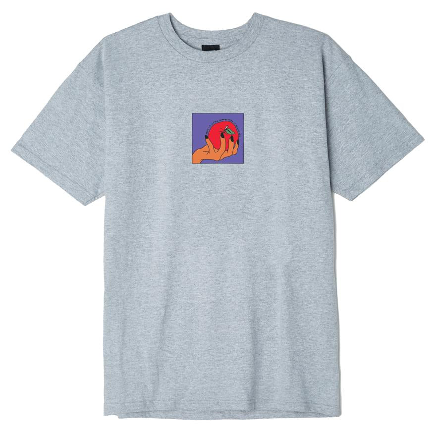 Apple A Day Classic T-Shirt Heather grey