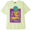 Damage Done Heavyweight Classic Box T-Shirt Spirulina